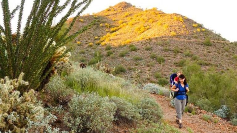 Best Hiking Trails For Beginners