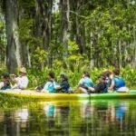 Adventure Swamps for Kayaking