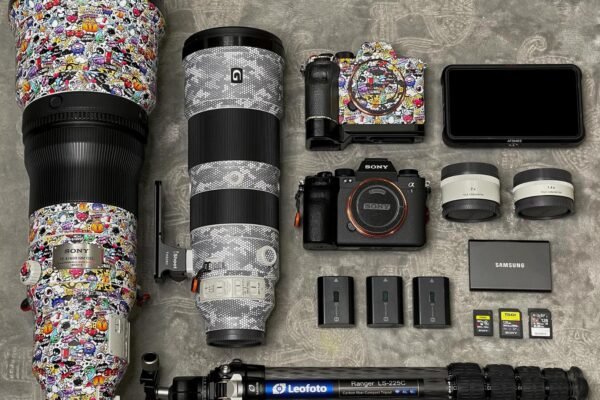 Best Lenses for Wildlife Photography