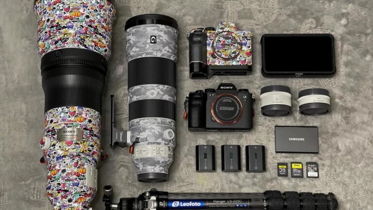 Best Lenses for Wildlife Photography