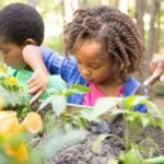 Best Outdoor Activities for Environmental Education