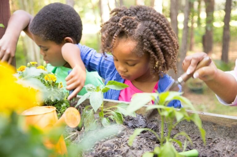 Best Outdoor Activities for Environmental Education