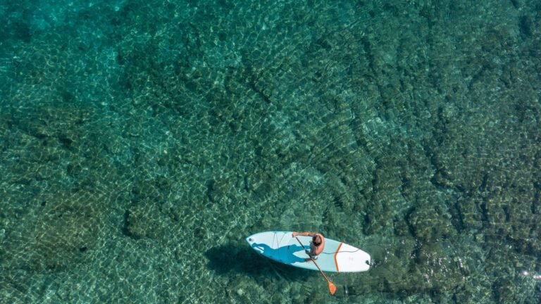 Exploring Coastal Areas: Beach and Ocean Activities