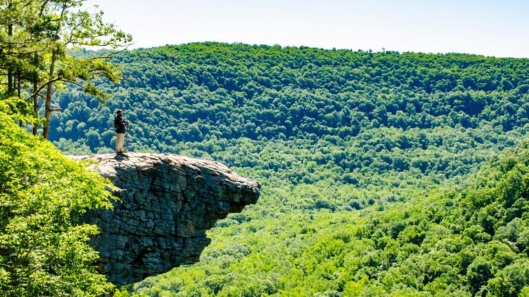 How to Connect with Nature During Outdoor Experiences