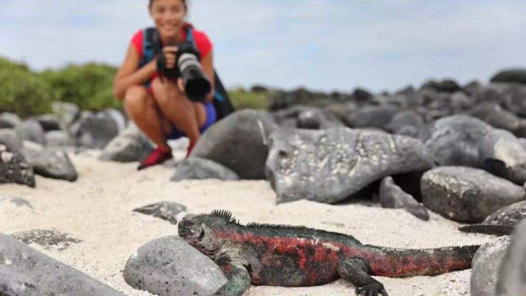 Ways to Experience Wildlife Safely and Respectfully