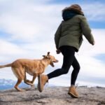 Ways to Keep Your Pets Safe and Happy on Outdoor Adventures