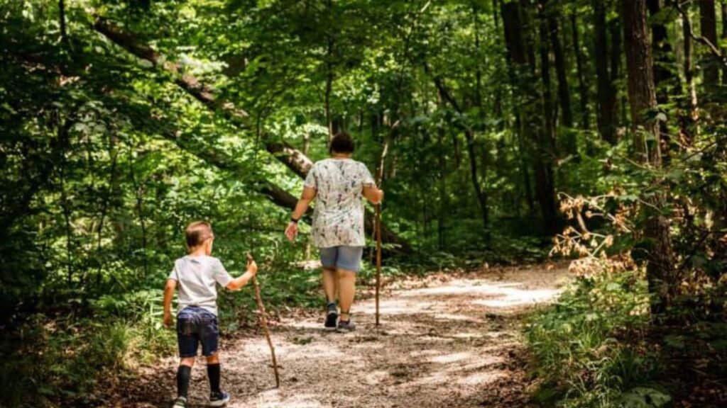 a parent taking nature walk with thier child 