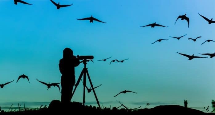 a person recording a bird view