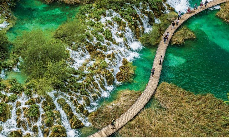 people taking a nature walk 